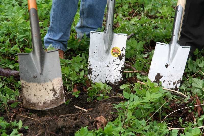 pepiniere-VILLARS SUR VAR-min_work-lawn-flower-tool-green-backyard-1103633-pxhere.com